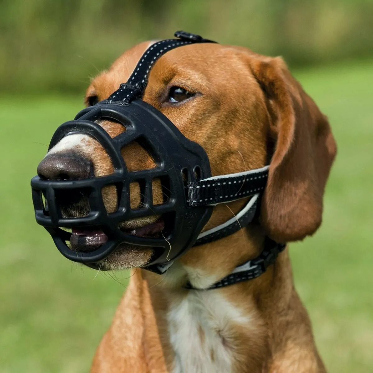 Muzzle Trixie Flex Black Monochrome S 20 cm